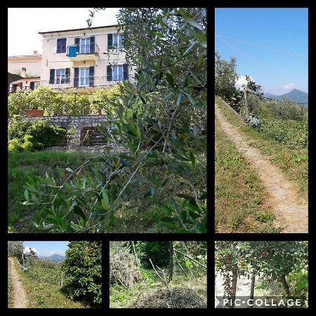 Hotel Rural House Rondini à Camposasco Extérieur photo